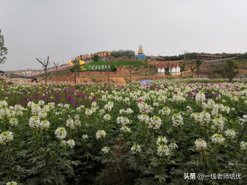 小学生写作文没有词汇，常见的反义词汇总可以帮你忙（一）