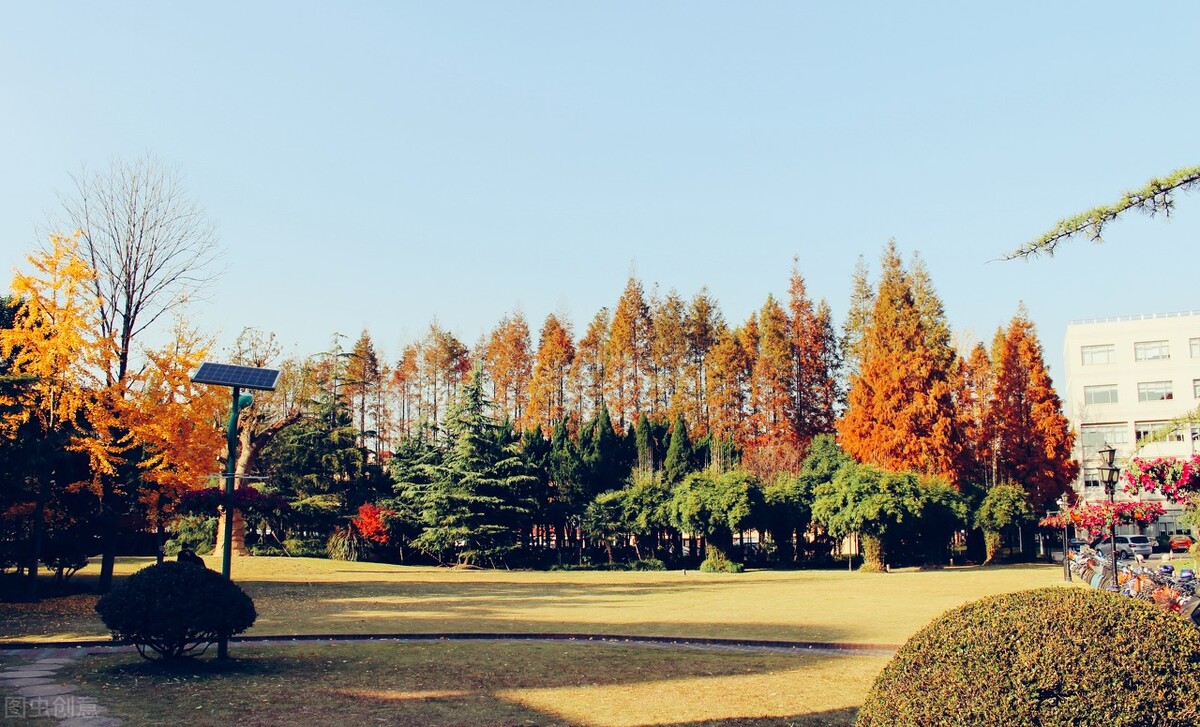 大学这四类证书含金量极高，就业能够提供实质性的帮助，千万记住