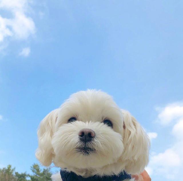 朋友圈积极向上的早安句子 （精选24句）图片