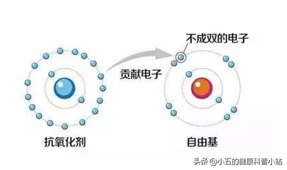 补肾填精？延年益寿？聊一聊争议中的中成药——金水宝胶囊