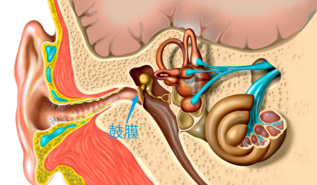 人工耳蜗手术价格30多万人工耳蜗掉厕所