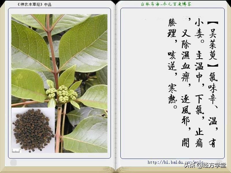 《神农本草经》全册图文解析 建议收藏