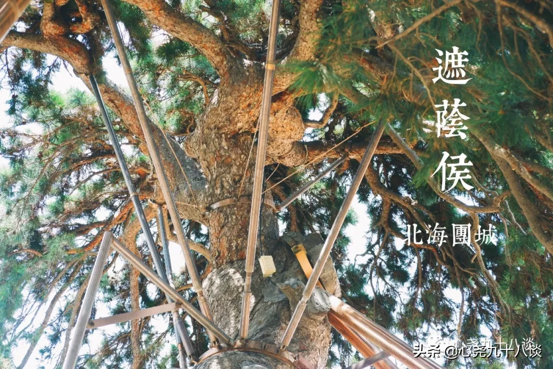 古代皇家园林仿蓬莱仙境，这里便是一池三山中的瀛洲 | 北海团城