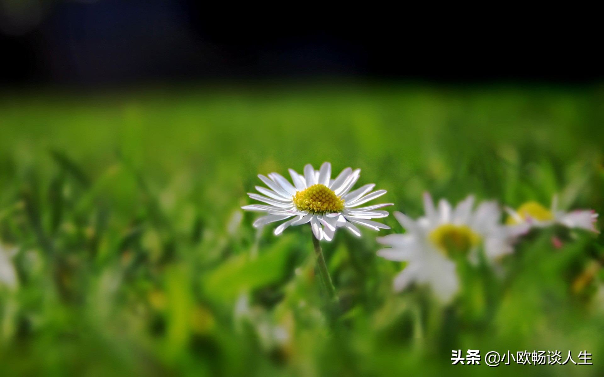 放下压力，轻松前行：告别疲惫生活