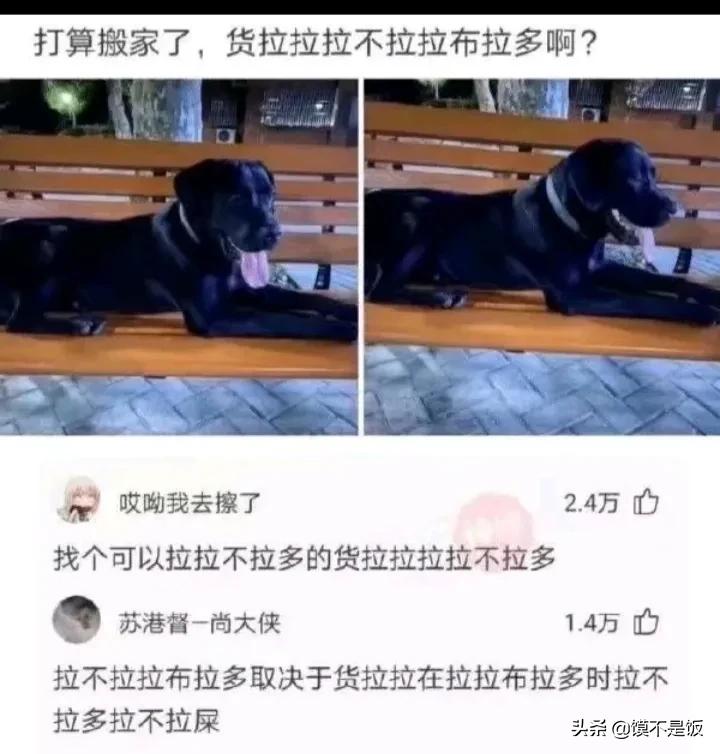 爆笑合集：你听过男友最敷衍的话是什么！神评看这里