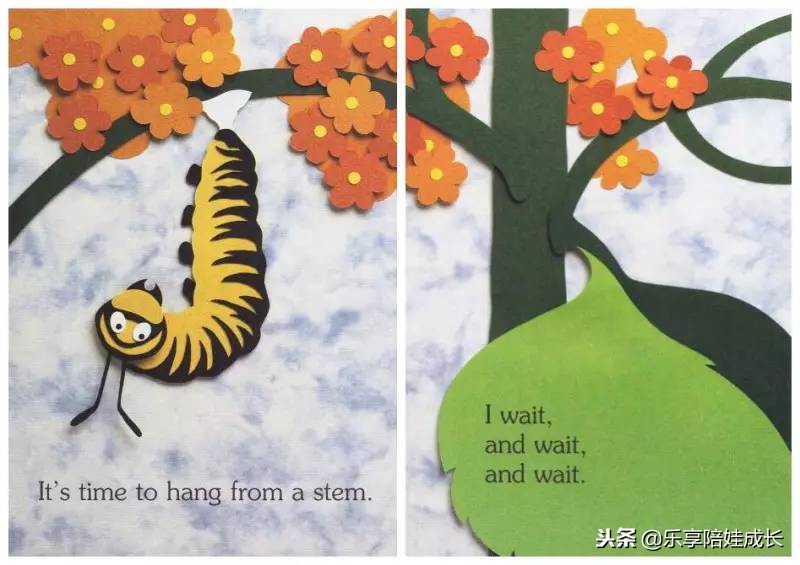 绘本磨耳朵：I'm a Caterpillar 中文《我是一条毛毛虫》！