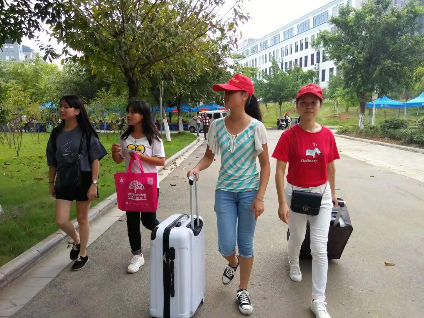 真的需要给大一新生买电脑么？看完老学长的建议，家长再做决定