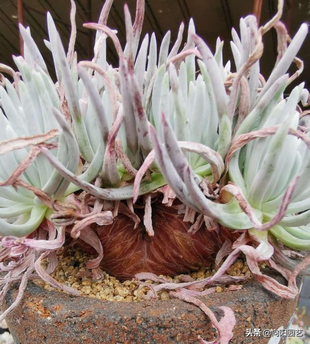 ˽࣬ݵػʵû