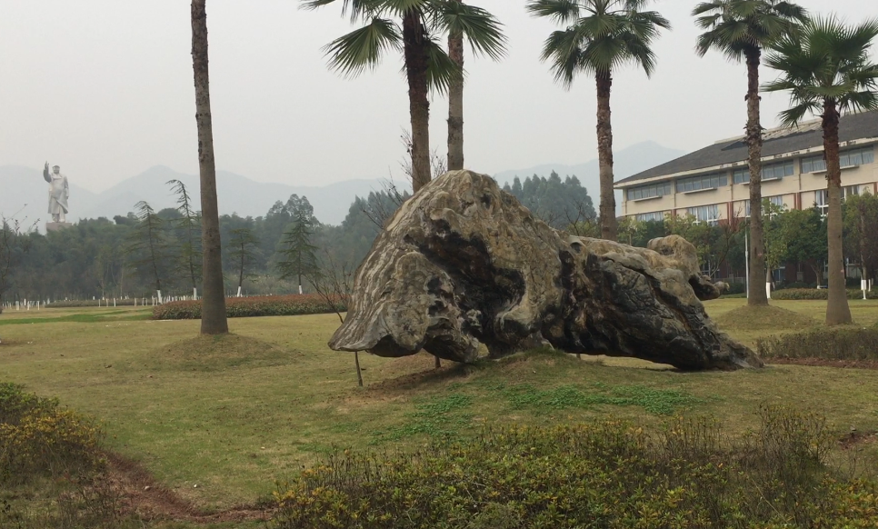 临床医学专业学什么,临床医学专业学什么科目