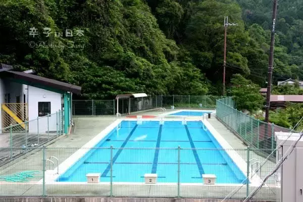 日本孤岛上的公立学校，仅11名学生，却告诉我们什么是真正的教育