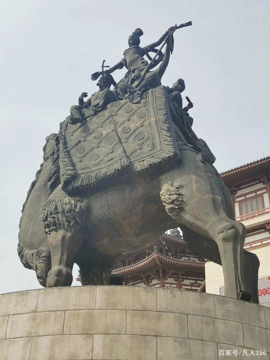 一场秋雨，几度悲凉