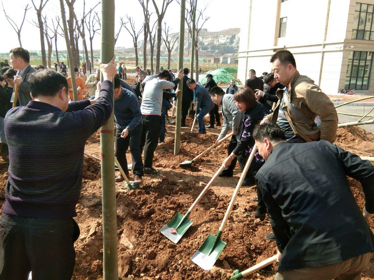 梦想花开，走进山东财经大学的春天！