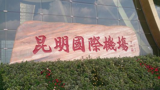 2004年，两少年扒上飞机起落架：一个被风吹下飞机，一个艰难幸存