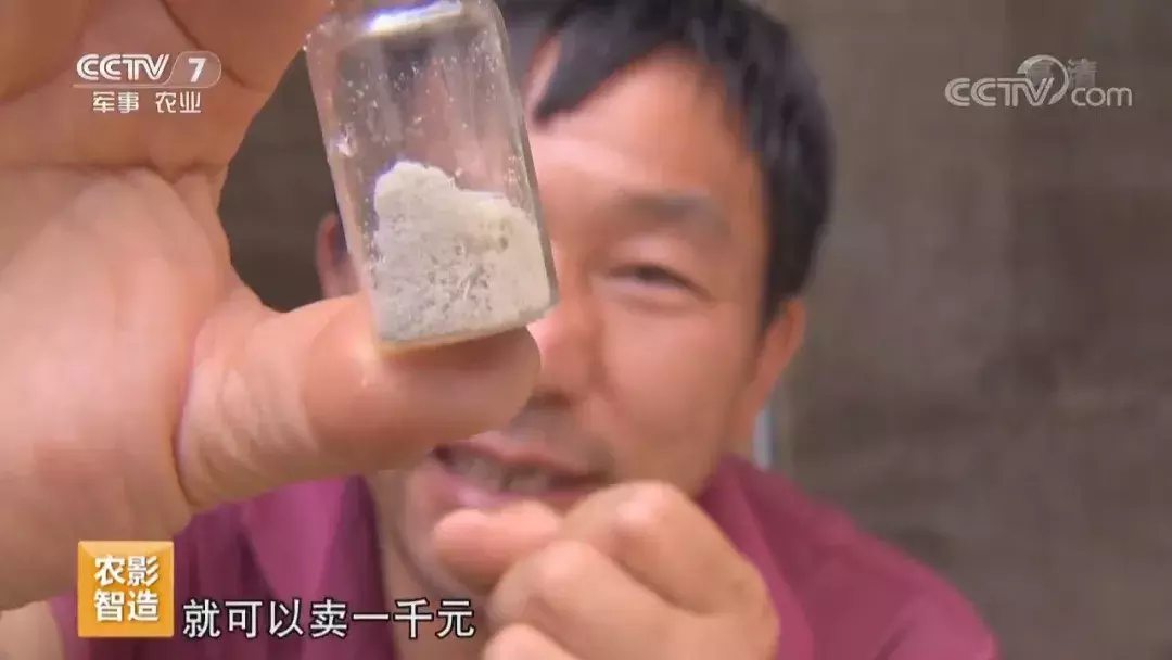 挖个坑,埋点土,秋后抬回两千万!蜂农中的绝命毒师