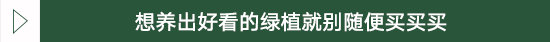 再土的房子也能变的时尚温馨