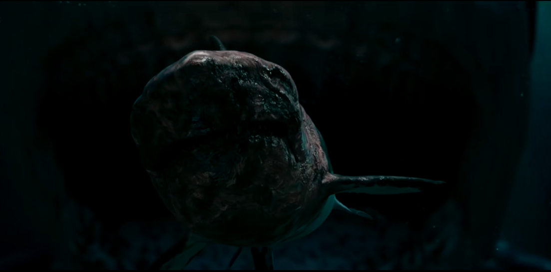 4,这部《巨鲨之夺命鲨滩》,且先不说存不存在抄袭的问题.