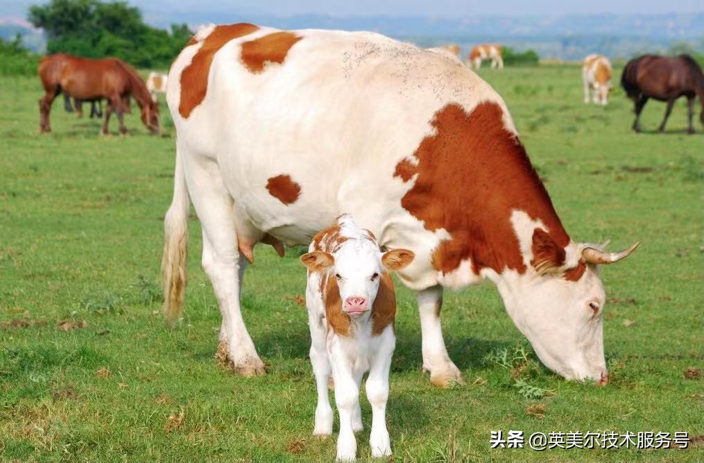 ĸţʲ(shi)ôԭģɢĸţ