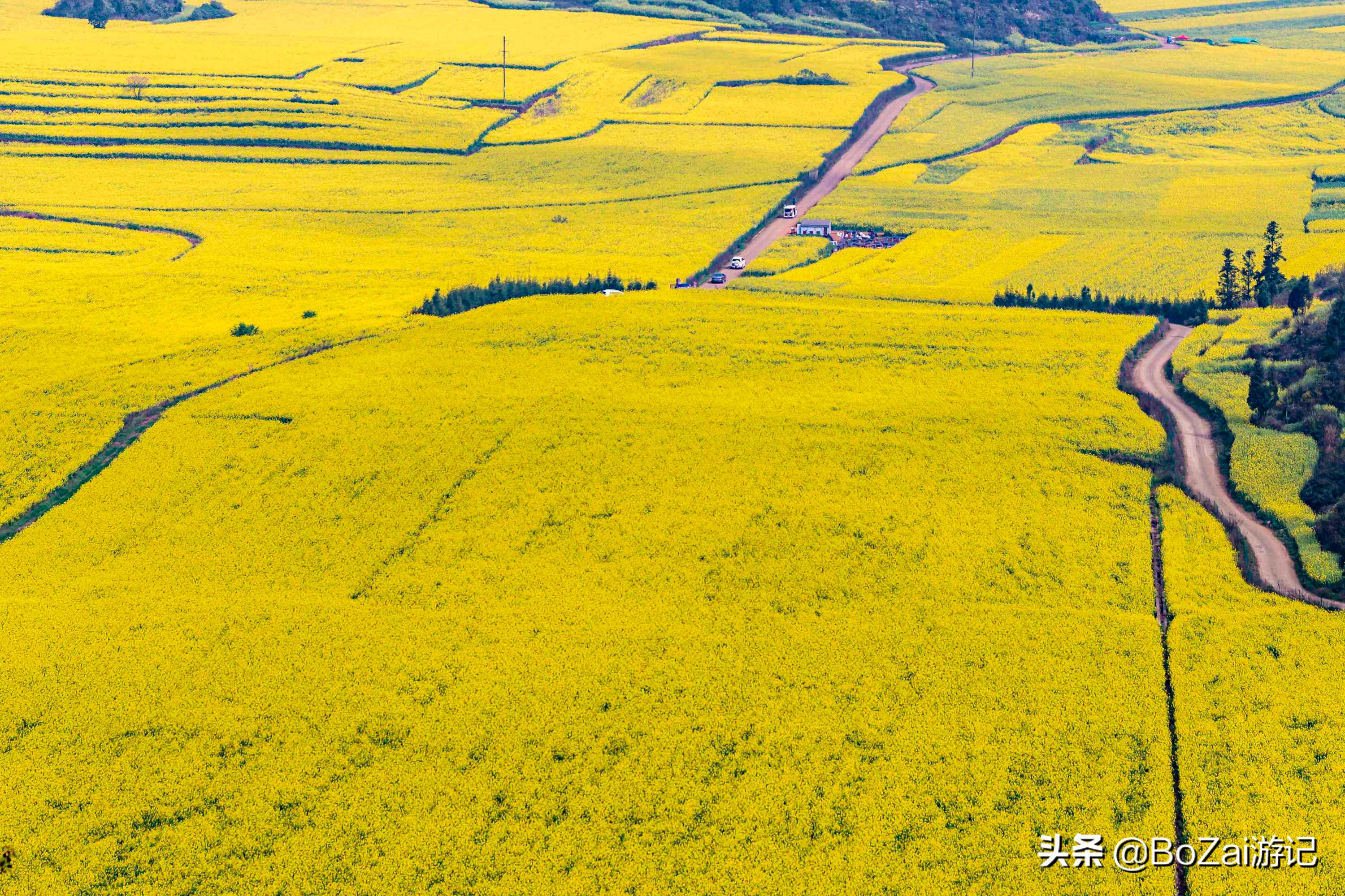 适合云南旅游的地方（到云南旅游不能错过的10大景点）