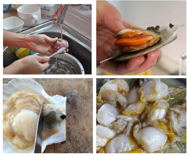 做了22年海鲜的老师傅,总结出各种海鲜清洗,烹饪技巧等干货大全