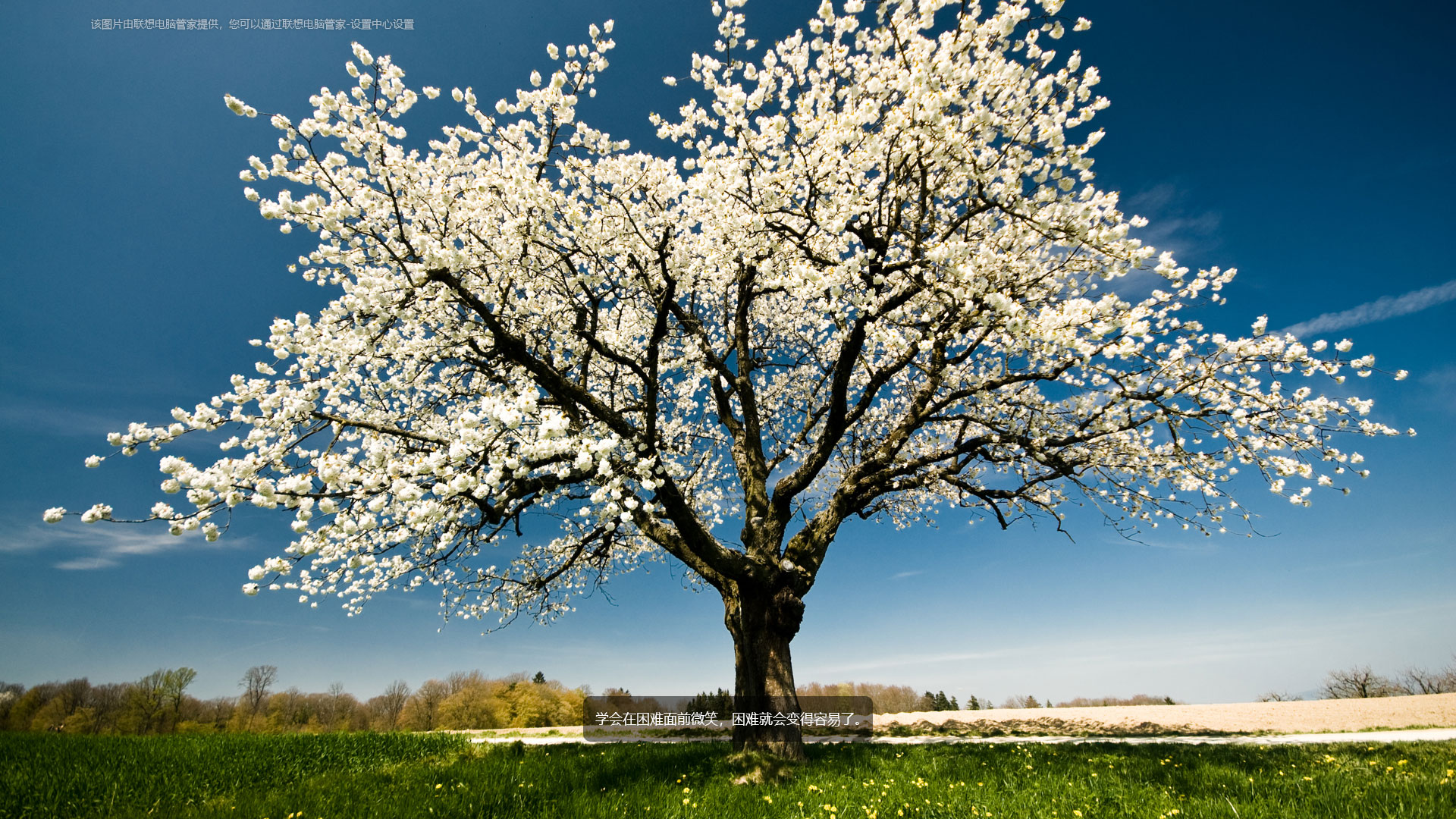 联想高清锁屏壁纸