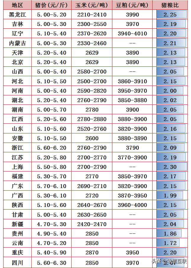 今日猪价行情（收储提振，猪价持续上涨！还能涨多久？）