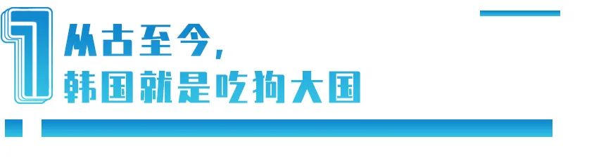 200 世界杯韩国为什么(韩国一年吃掉200万条狗却要禁吃狗肉：不是爱动物，而是讨好西方)