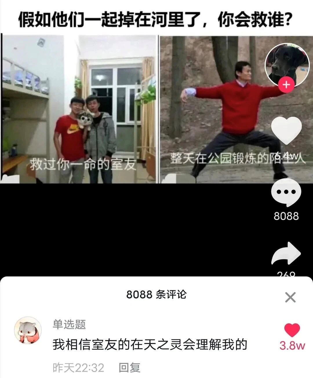抖音神评论简直绝了！差点笑死在床上
