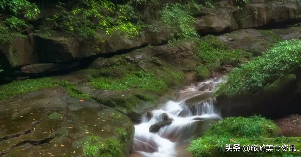 雅安邀你来听雨：天地之润，万物之养，雅雨之灵，雅安之魂