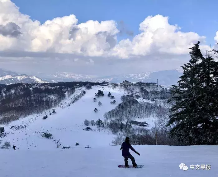 男篮世界杯中国队孙辉(华人相约斑尾：尽享雪地浪漫与激情)