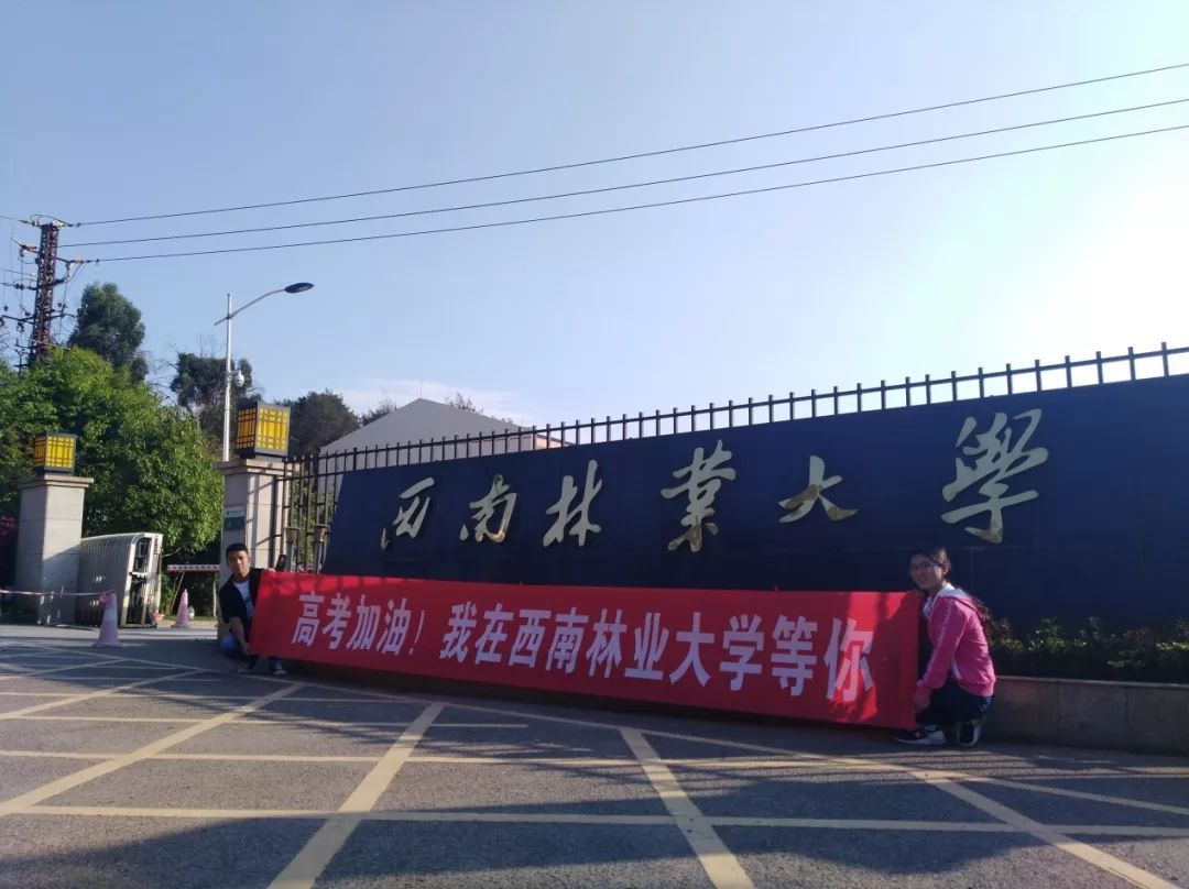 北京林業(yè)大學為林業(yè)大學翹楚，南林第二，東北林大降至第三