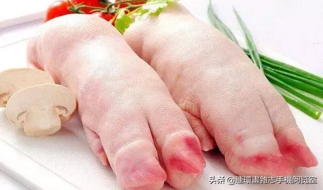 猪蹄壳的功效与作用-我的快乐小窝