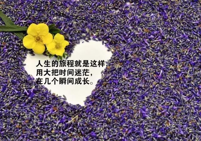 霸气酷的句子说说心情