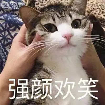 大学毕业论文救命指南，看完一键解决写不出论文大难题