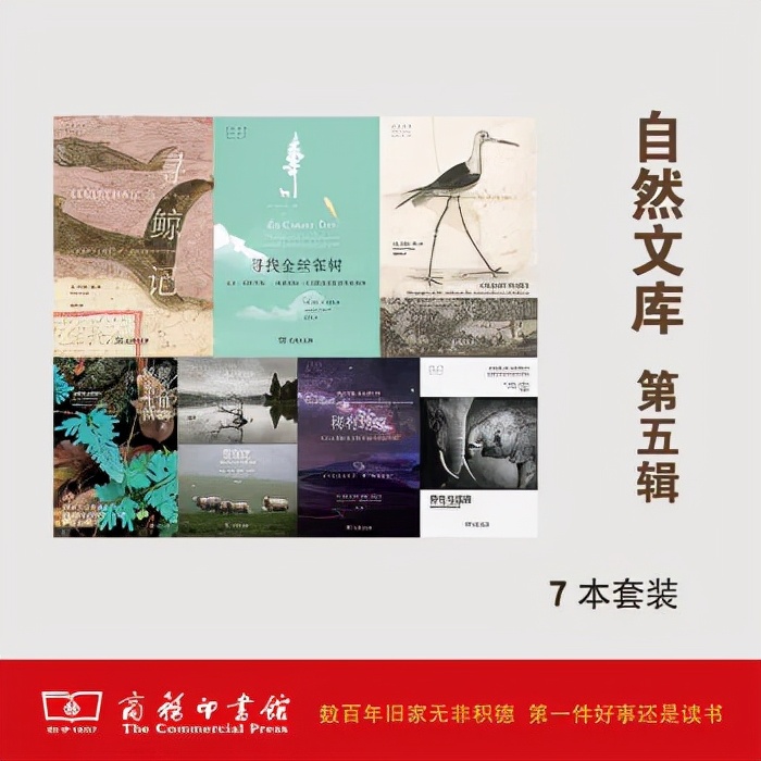 10本“小众”却好读的书，推荐给爱书的你！