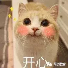 自考报名指导