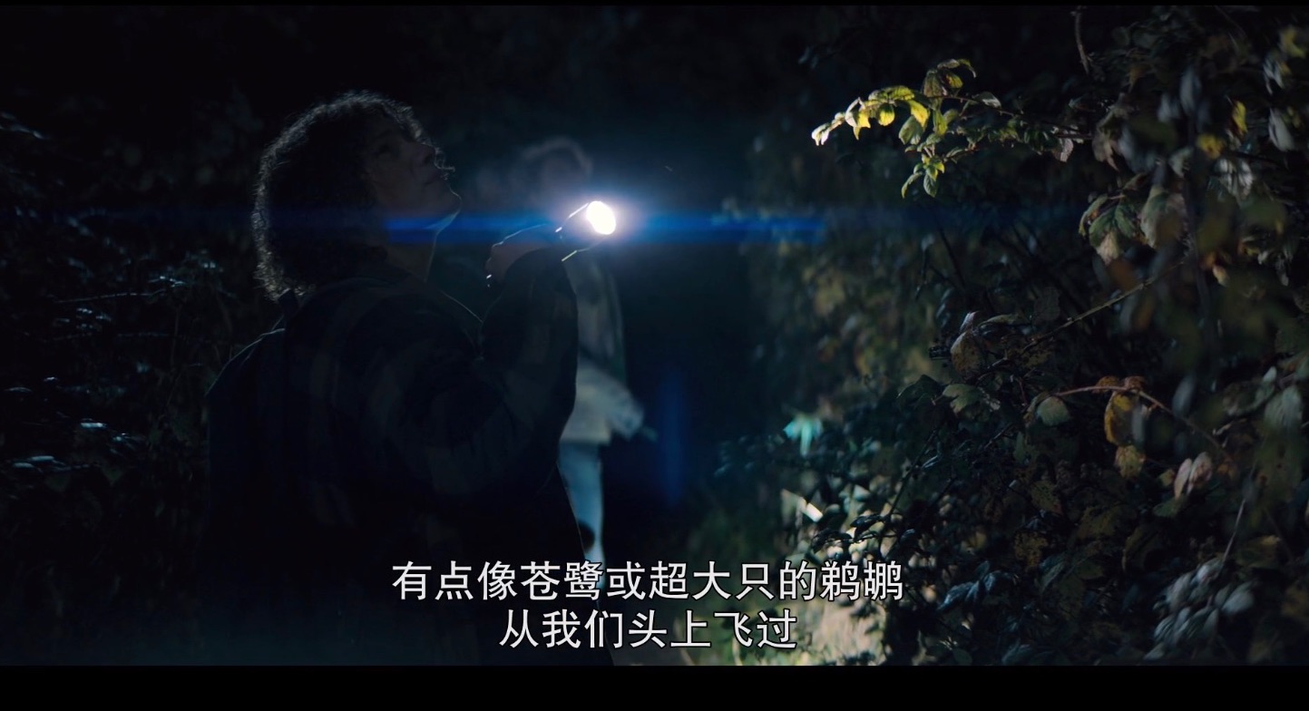 由《鬼的侵入》导演打造的，依然渗透到骨髓中的恐怖作品