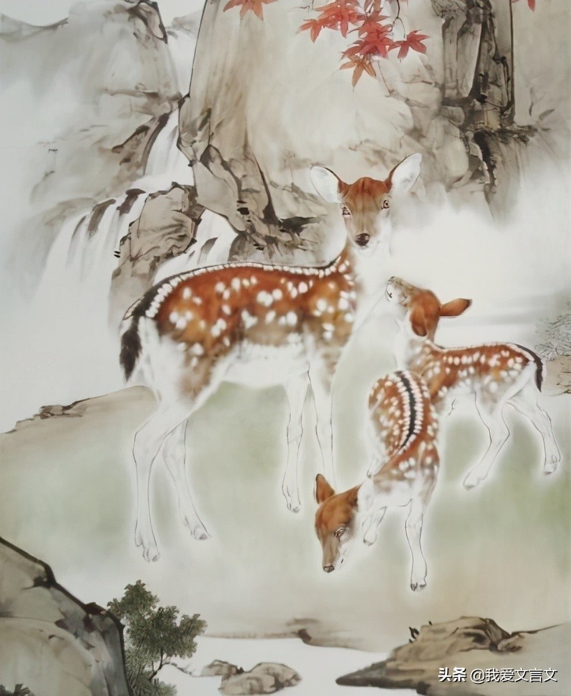 经典文言文赏析 | 张五不复猎