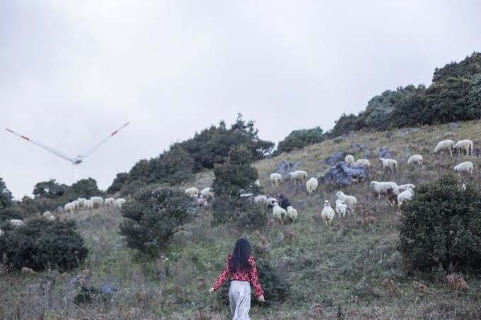 下关风吹上关花，洱海月印苍山雪——从洱海边醒来