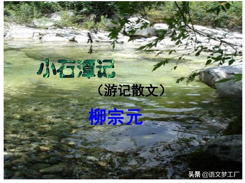初中语文读讲练：静态描写句子精析与训练