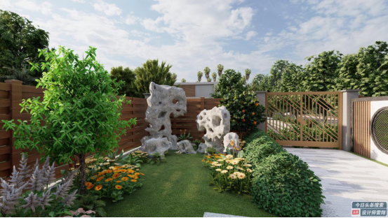 院子设计方案的俯视图