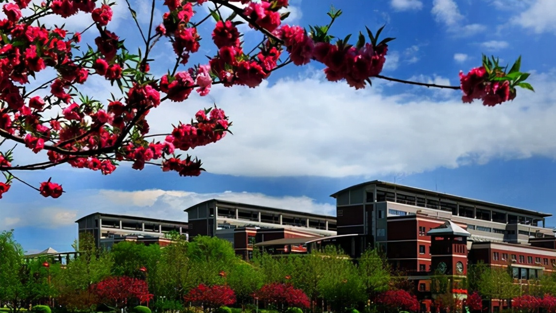 广西大学面积（河南大学和山西大学争相深耕省会）