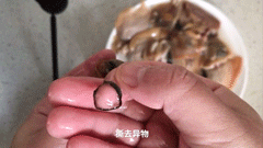 河蚌个头越大越好吗？如何清洗才干净？怎么做才能更鲜嫩美味？