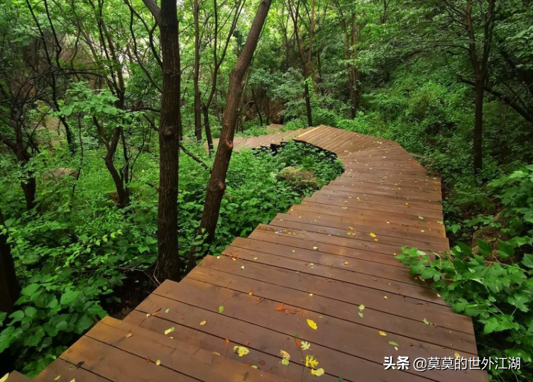 北京昌平，深山密林，寂静清幽，徒步锻炼，休闲避暑的绝好去处