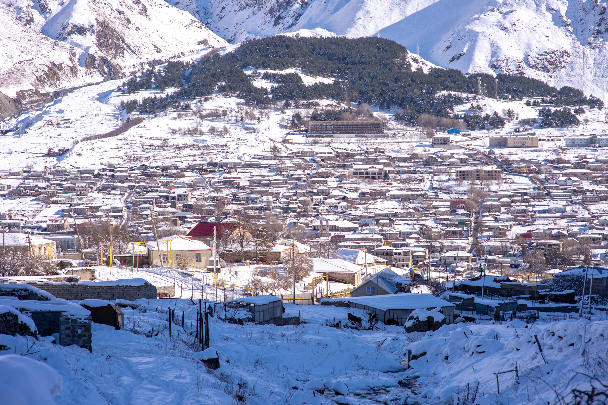 如何自制簡易滑雪板（雪山村落里的孩子怎么玩耍？自制滑雪板，趴在上面可以滑行500米）
