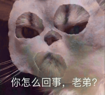 表情包：日常吸貓（awsl）