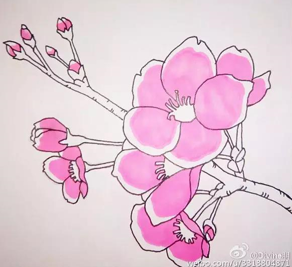桃花简笔画:一步一步教你画桃花的教程,简单又好看,你想学吗?