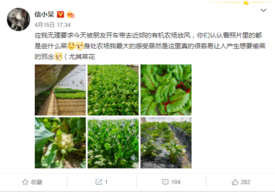 网红经济公司背后的潜规则：月入200万，违约费300万