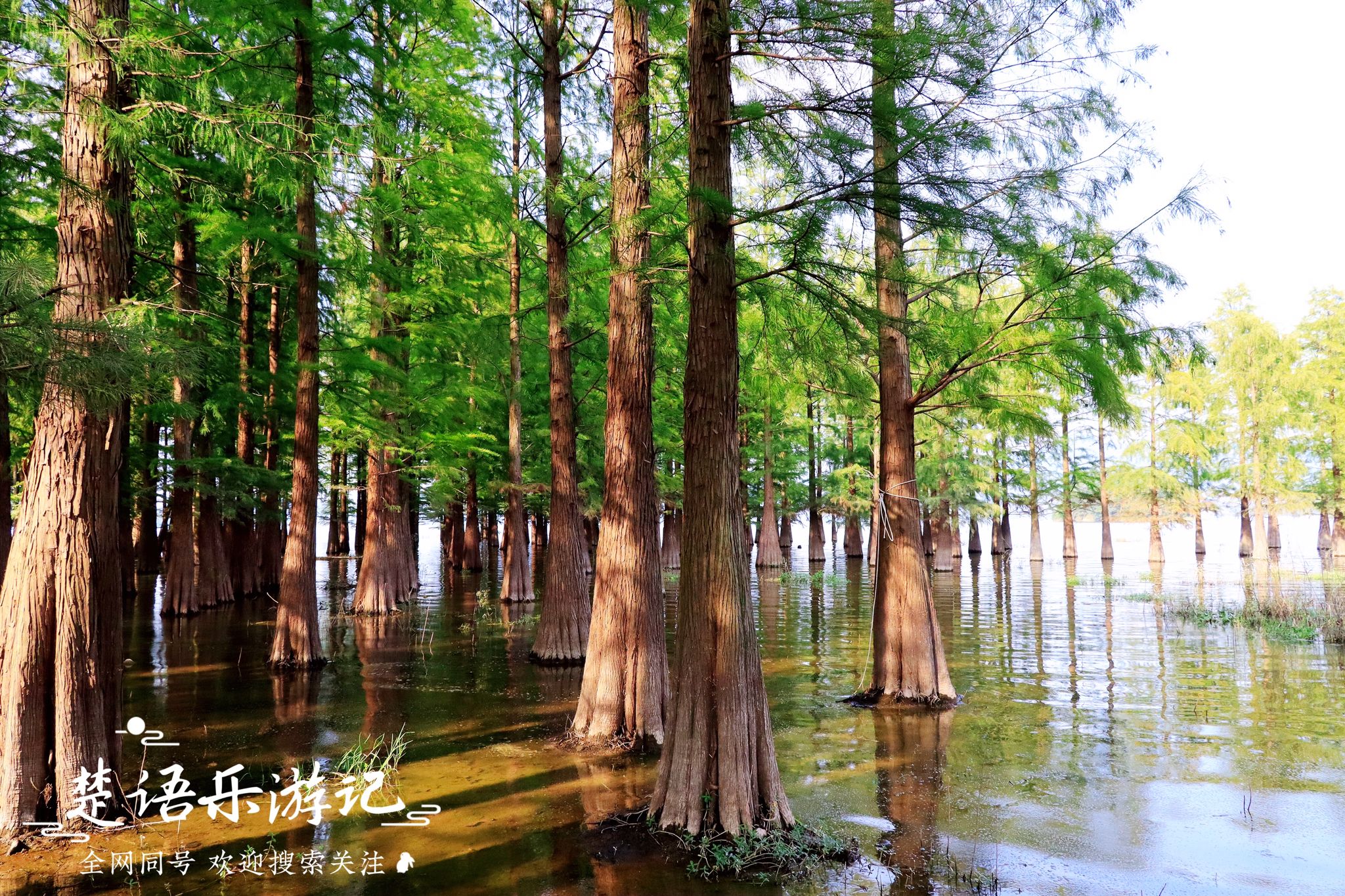 四明山哪个地方好玩(宁波四明山里这个网红景点到底有多美？带上颜值和相机，拍就完了)