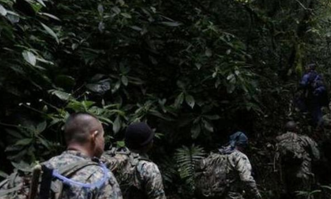 2014年，两个荷兰女孩出国旅游神秘失踪，留下90张无法解释的照片