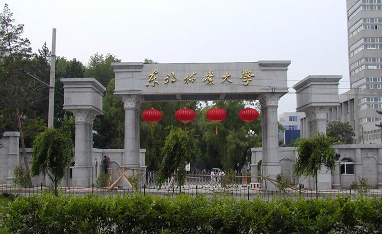 考研难度较低的几所211，很适合普通本科学子，考上几率很大